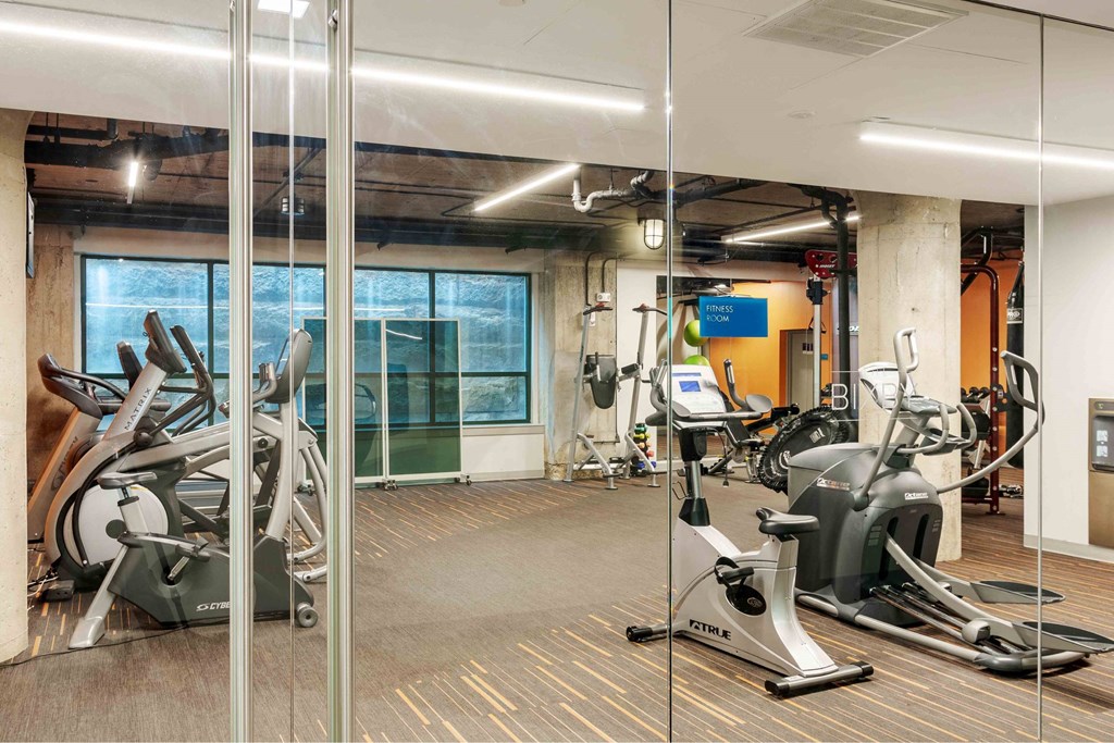A gym with treadmills and exercise bikes.