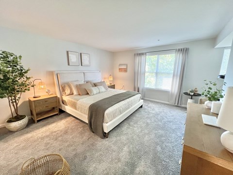 A bedroom with a large bed, a nightstand with a lamp, a plant, and a window with curtains.