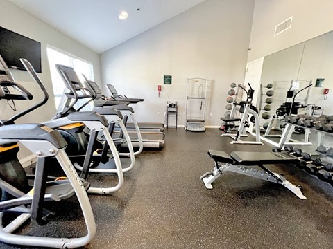 A gym with treadmills, exercise bikes, and weightlifting equipment.