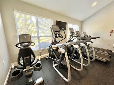 A gym with treadmills, elliptical machines, and a stationary bike.