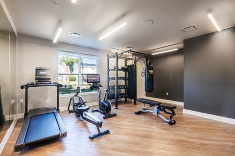 A spacious home gym with a variety of equipment including a treadmill, exercise bike, and weight machines.