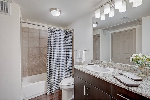 A bathroom with a checkered shower curtain and a white toilet.