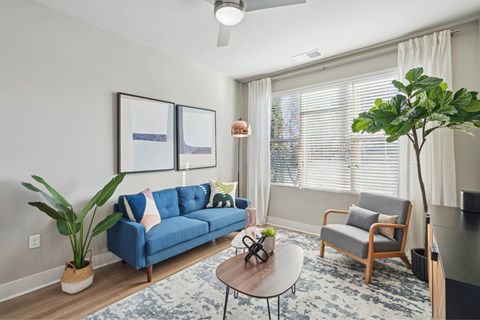 A living room with a blue couch, a wooden chair, a potted plant, and a framed picture on the wall.