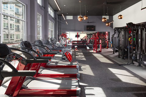 a row of red exercise bikes in a gym