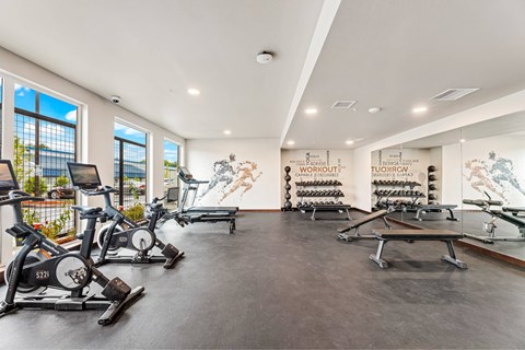 A gym with a row of stationary bikes and a row of dumbbells.