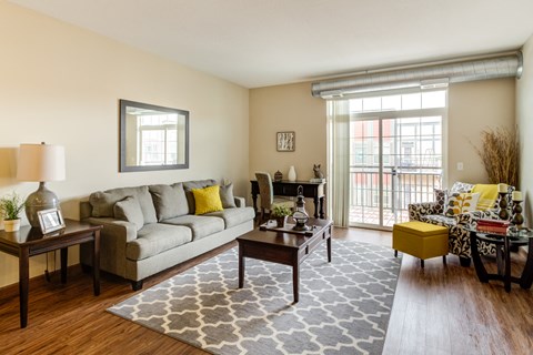 A living room with a grey couch and a grey rug.