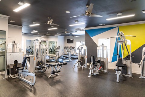 A gym with a variety of equipment including weights and cardio machines.