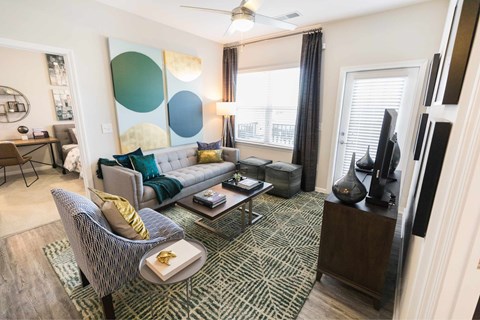 A living room with a grey sofa and a patterned rug.