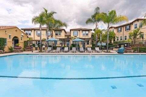 A swimming pool in front of a row of houses with palm trees.