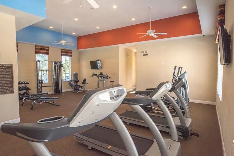 A gym with treadmills and exercise equipment.