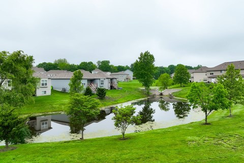 A flooded residential area with houses on one side and trees on the other.
