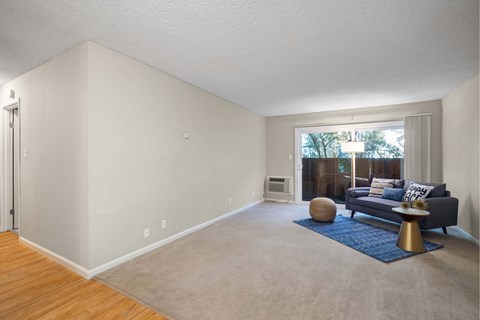 A living room with a grey couch and a blue rug.
