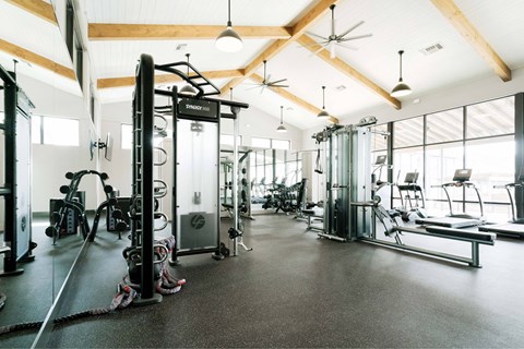 A gym with a variety of equipment including a squat rack, treadmills, and weights.
