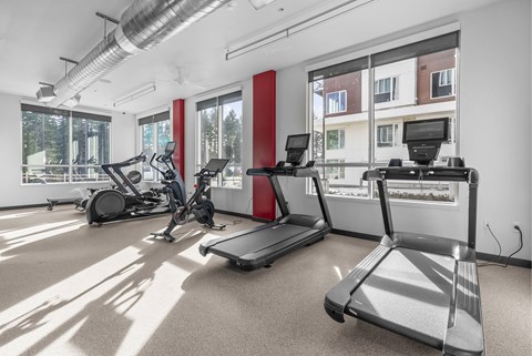 A gym with treadmills and elliptical machines.