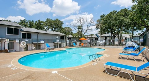 A swimming pool surrounded by sun loungers and trees.