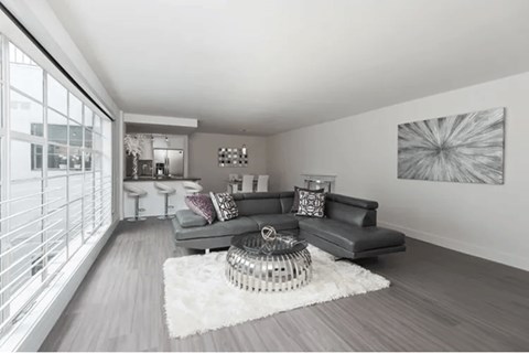A living room with a grey couch and a white rug.