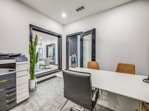 A room with a desk, chairs, and a cactus.