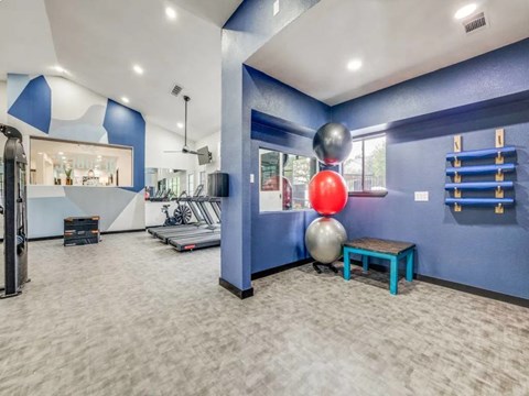 A gym with a treadmill, weights, and exercise balls.