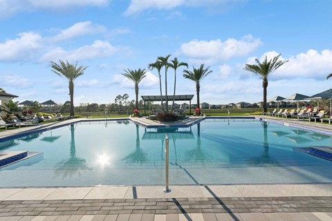 A pool with palm trees in the background.