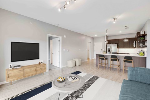 A modern living room with a flat screen TV and a kitchen area in the background.