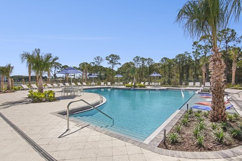 A large outdoor swimming pool surrounded by palm trees and lounge chairs.