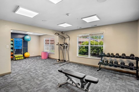 A gym room with a bench, weights, and exercise equipment.