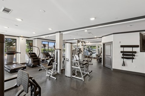 A gym with treadmills, weights, and exercise equipment.