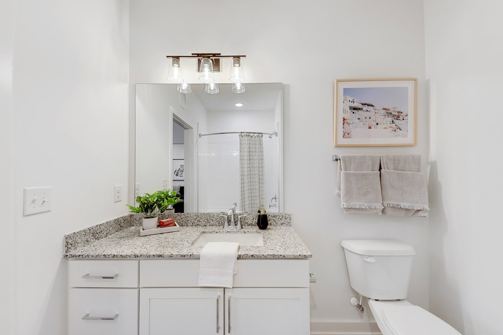 a bathroom with a sink and a mirror and a toilet