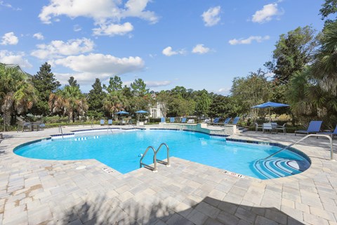 A large swimming pool surrounded by trees and a clear blue sky.