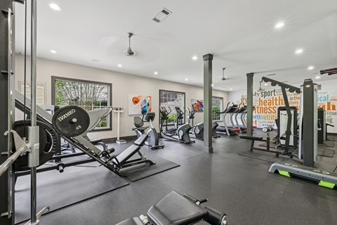 A gym with a variety of equipment including a weight bench, a rowing machine, and a treadmill.