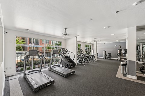 A gym with treadmills, exercise bikes, and other equipment.