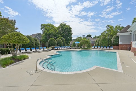 A large swimming pool surrounded by trees and lounge chairs.
