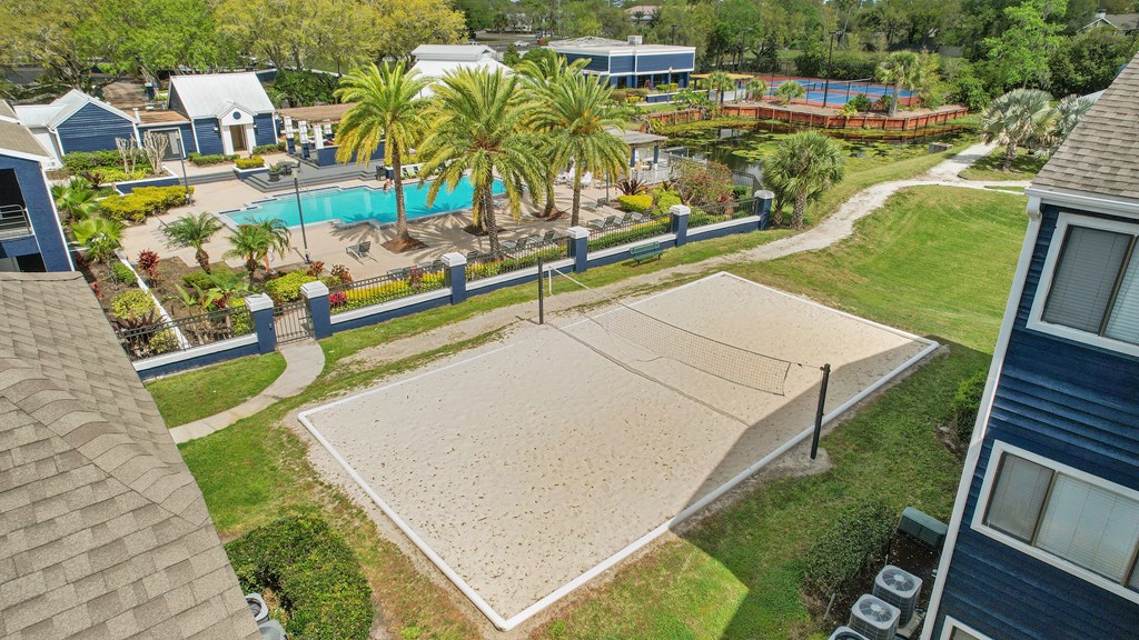a backyard with a swimming pool and palm trees