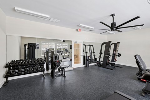 A spacious gym with a variety of equipment including dumbbells, weight machines, and a bench press.