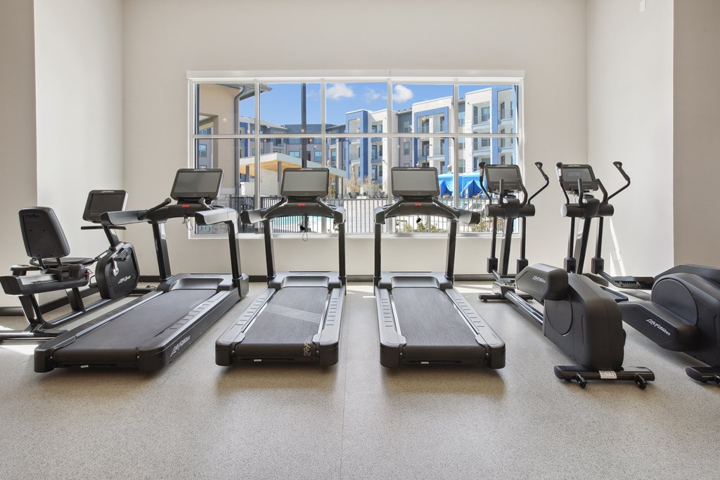 a row of treadmills in a fitness room with a large window