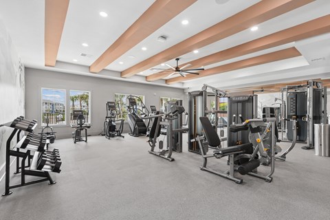 A gym with a variety of equipment including treadmills, weights, and a bench press.