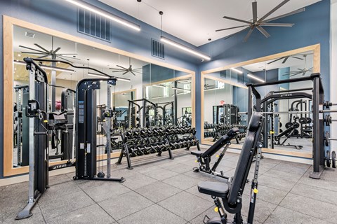 A gym with a variety of equipment including treadmills, weights, and a fan.