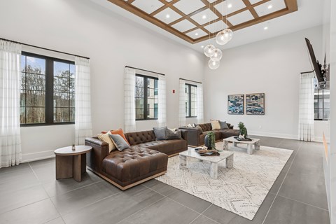 A modern living room with a brown leather sofa and a white rug.
