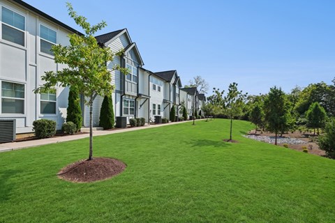 A tree in a grassy area in front of a building.