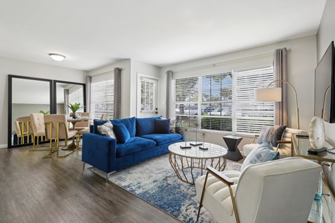 a living room with a blue couch