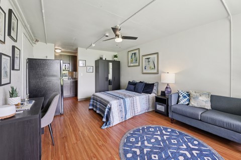 A living room with a grey couch and a blue patterned rug.