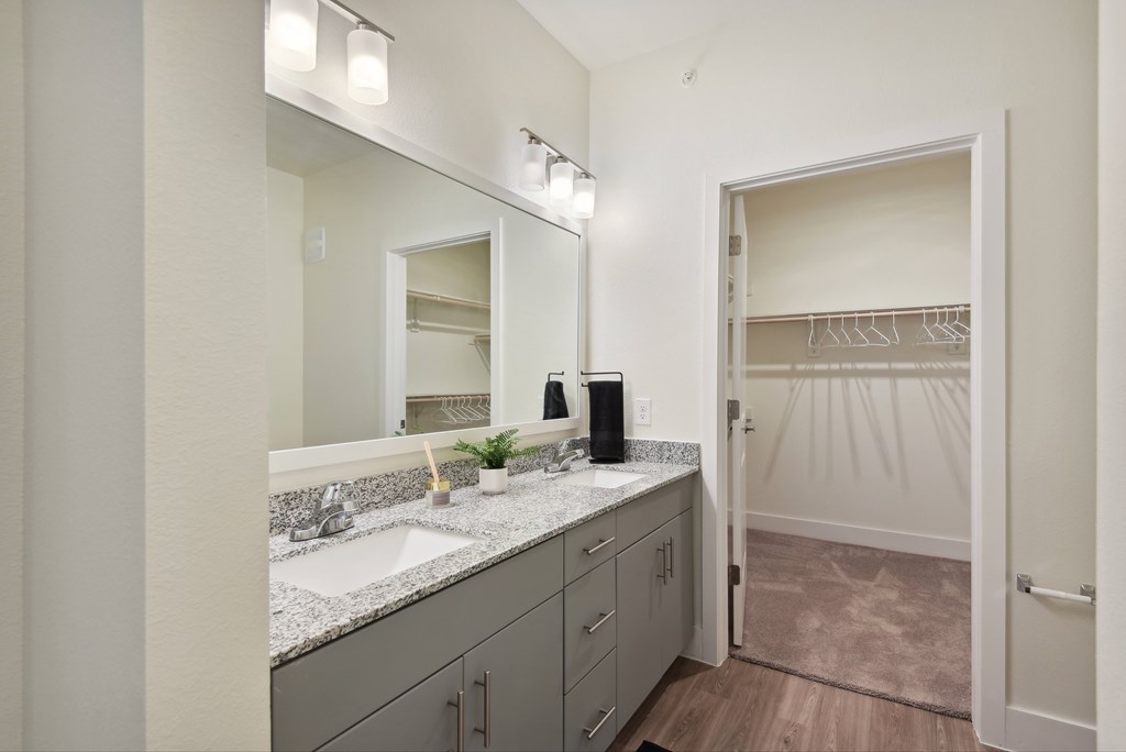 a bathroom with a sink and a mirror and a closet