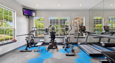 A gym with a variety of equipment including treadmills, stationary bikes, and weight machines.