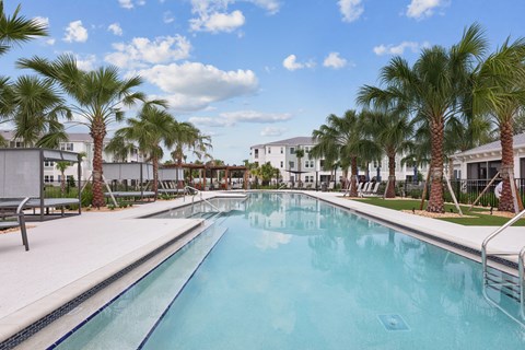 A long rectangular swimming pool surrounded by palm trees.