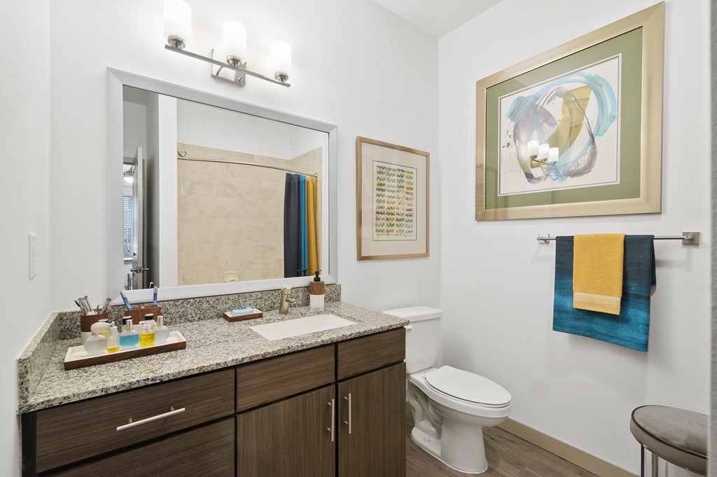 a bathroom with a vanity and a toilet and a mirror