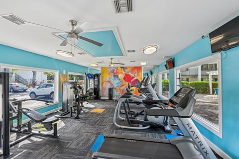 A gym with a treadmill, exercise bike, and other equipment.