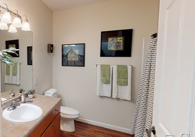 a bathroom with a sink and a toilet and a shower