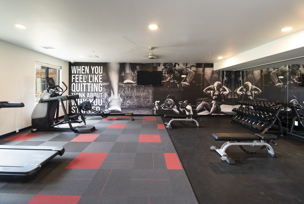 Amenity, Luxury, Resident, Apartment, High end, Fitness Center, Free weights, cardio equipment