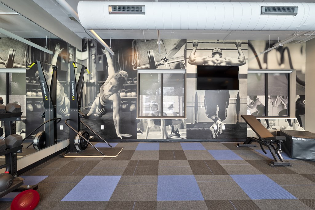 Amenity, Luxury, Resident, Apartment, High end, Fitness Center, Free weights, cardio equipment