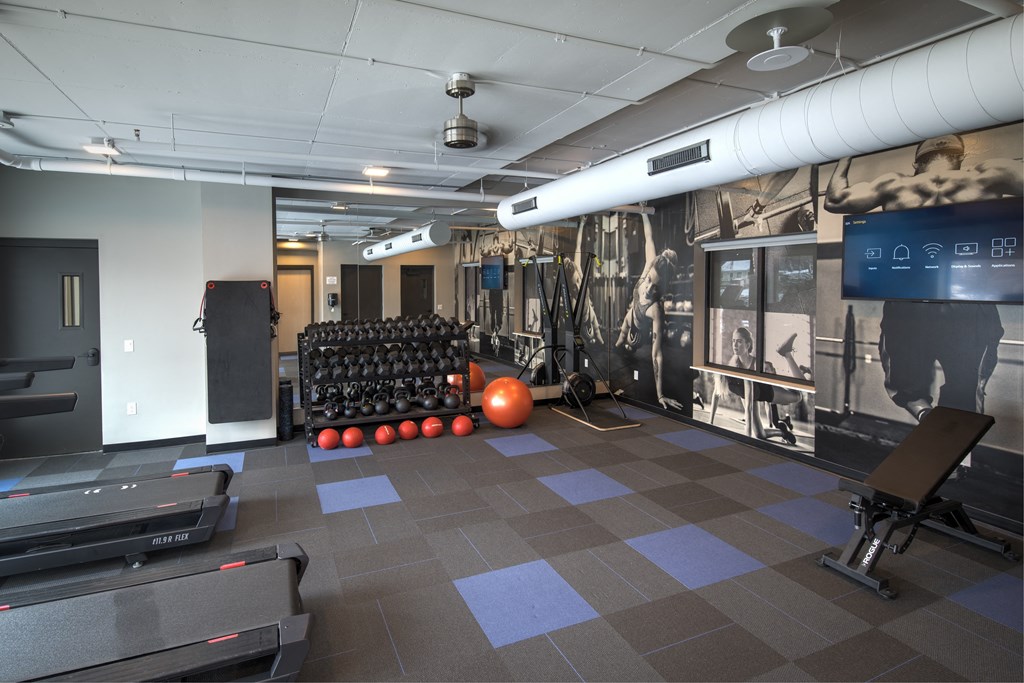 Amenity, Luxury, Resident, Apartment, High end, Fitness Center, Free weights, cardio equipment